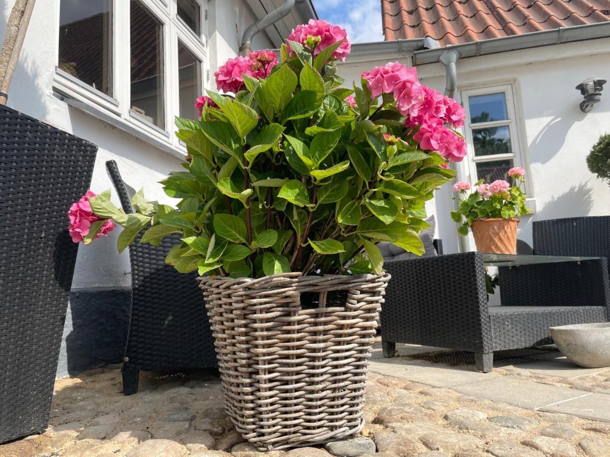 Harndrup Refugiumx B&B المظهر الخارجي الصورة